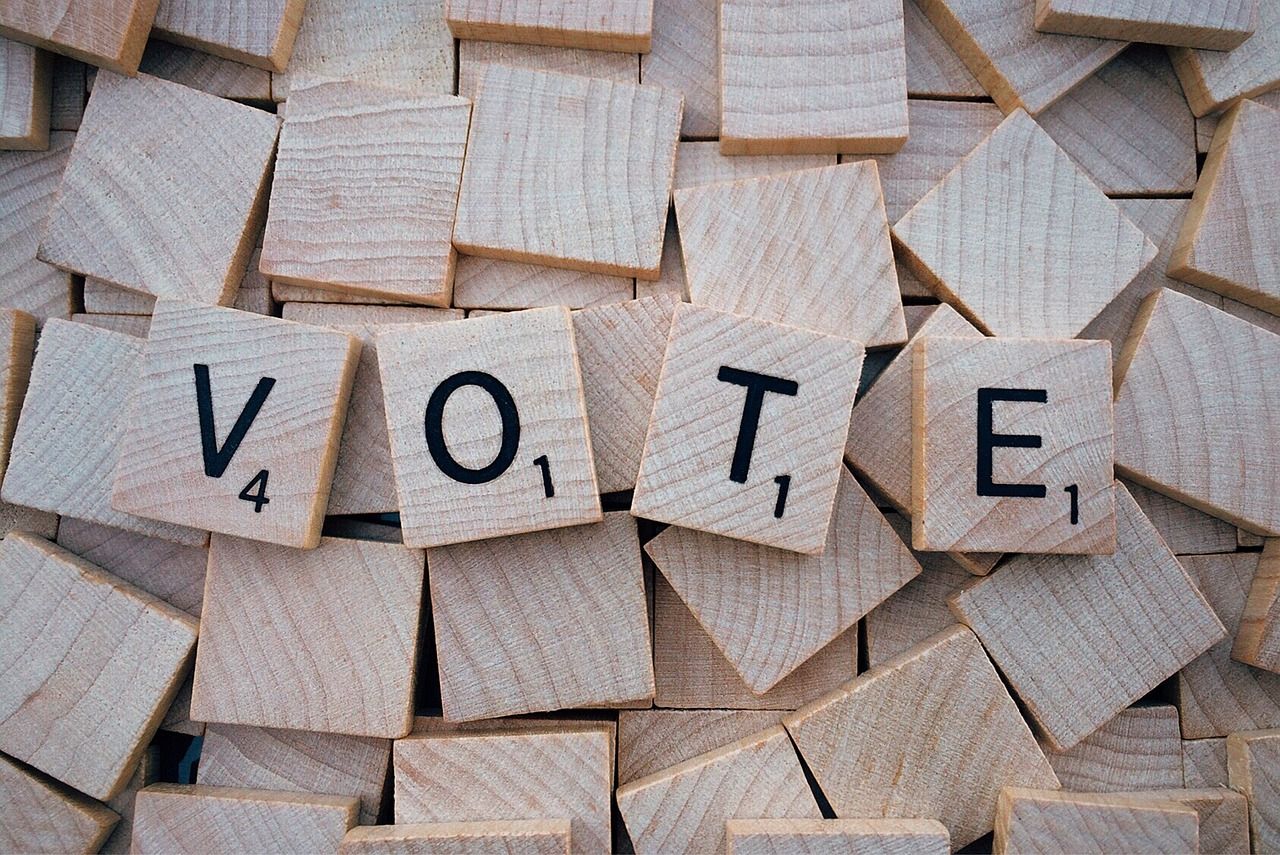 Explainer: What will the two referendums in March entail?