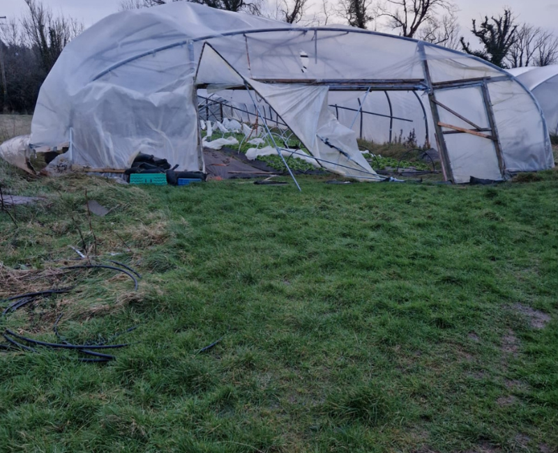 Scheme to help horticulture sector reopens in aftermath of storm