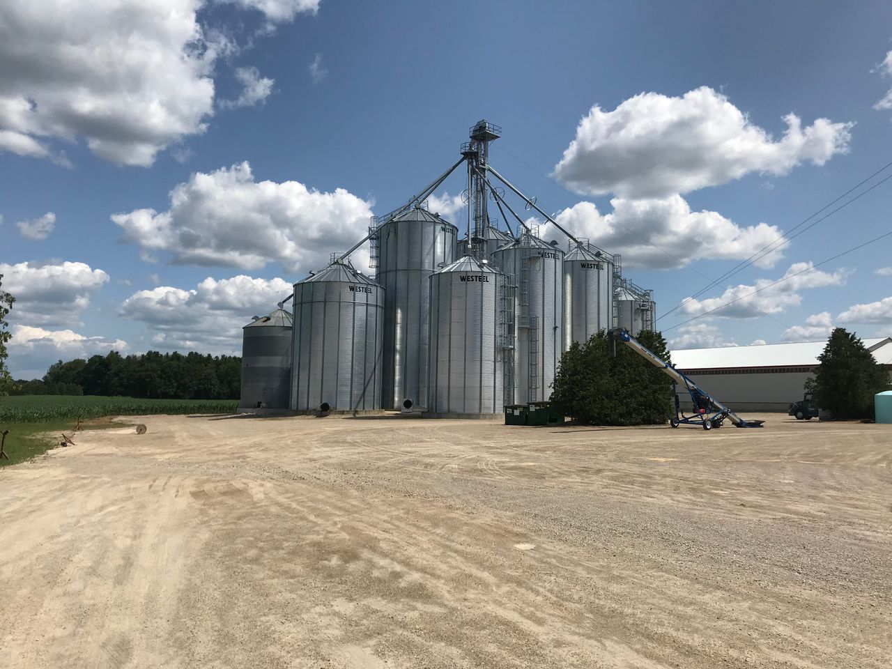 Grain price: No sign of anything to shake up markets