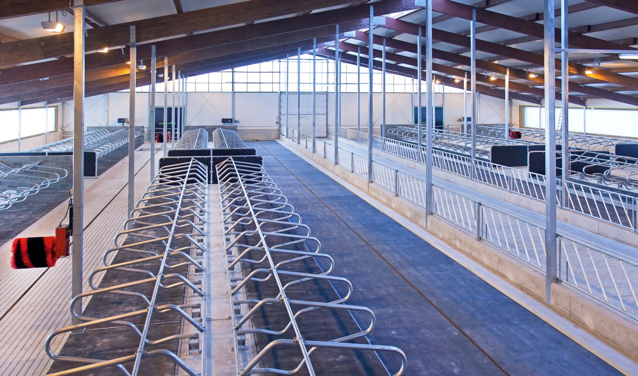 Dairy advice: Preparing sheds, scrapers and cubicles for winter