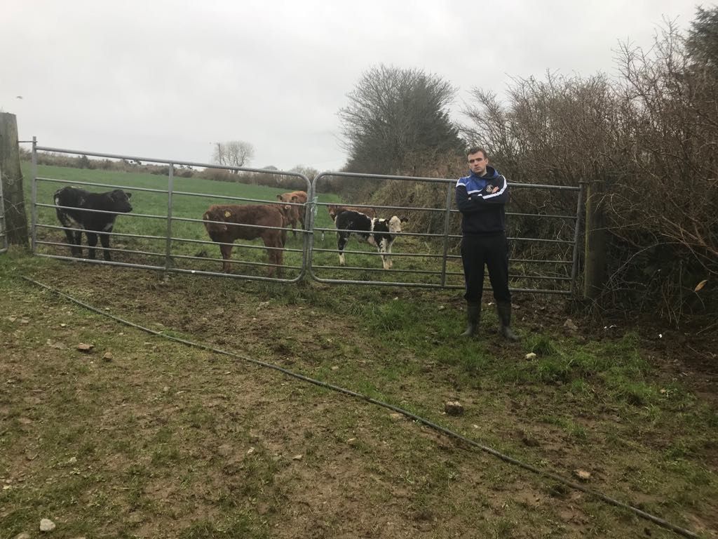 Part-time farmer 'On the Ball' with team building weekends