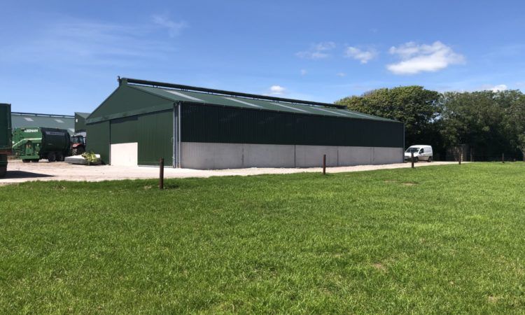 Back In Focus: New accommodation for up to 140 calves in Co. Cork