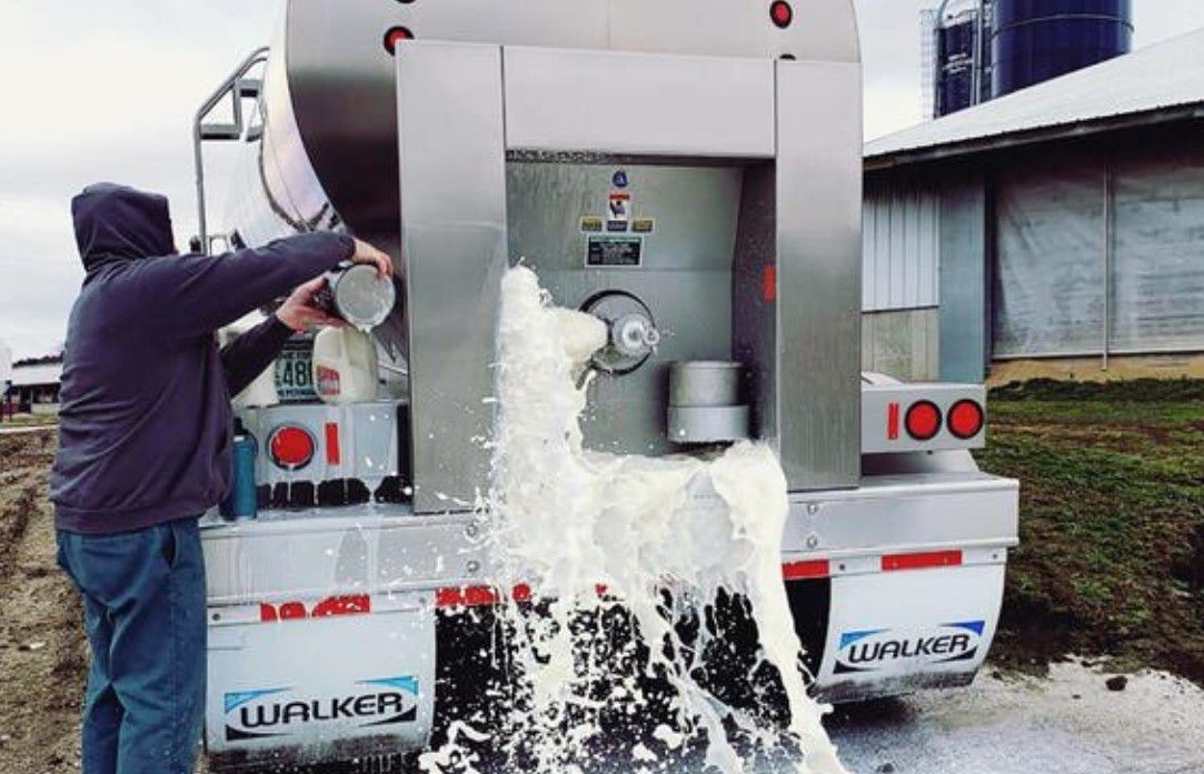 American farmers dump milk amid Covid-19 crunch