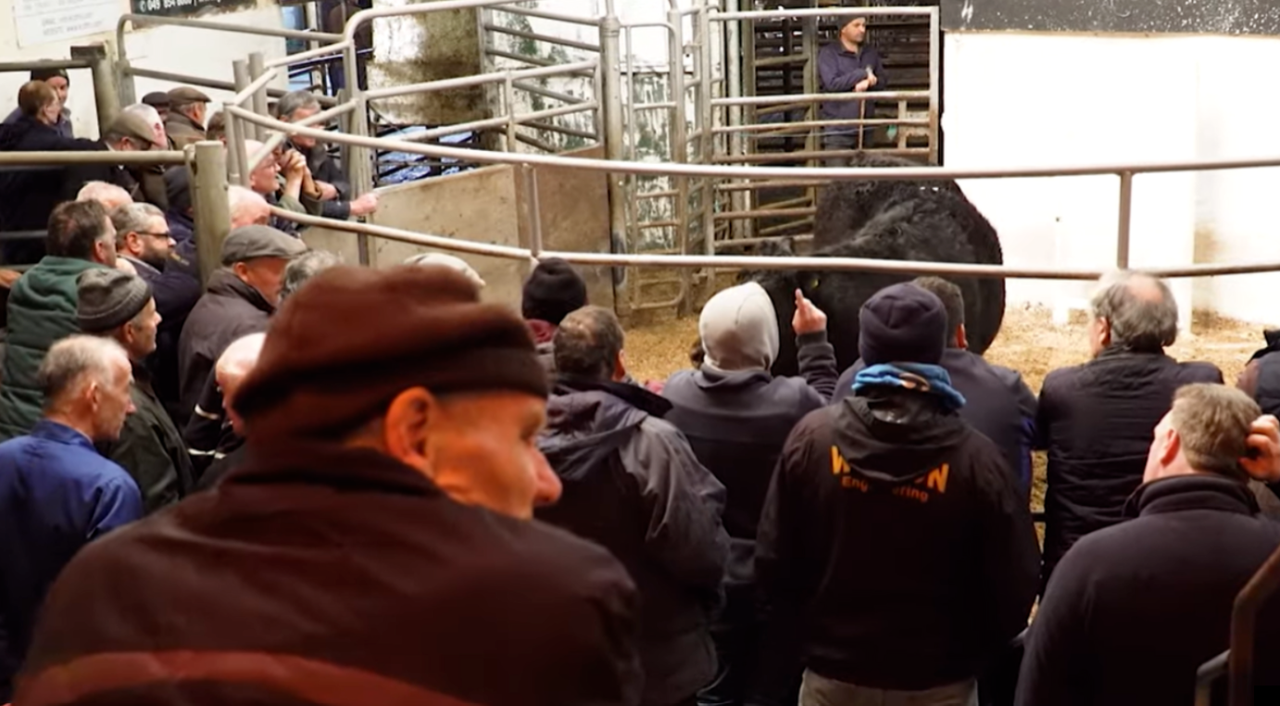 Further bTB movement controls to be rolled out 'in the coming months'