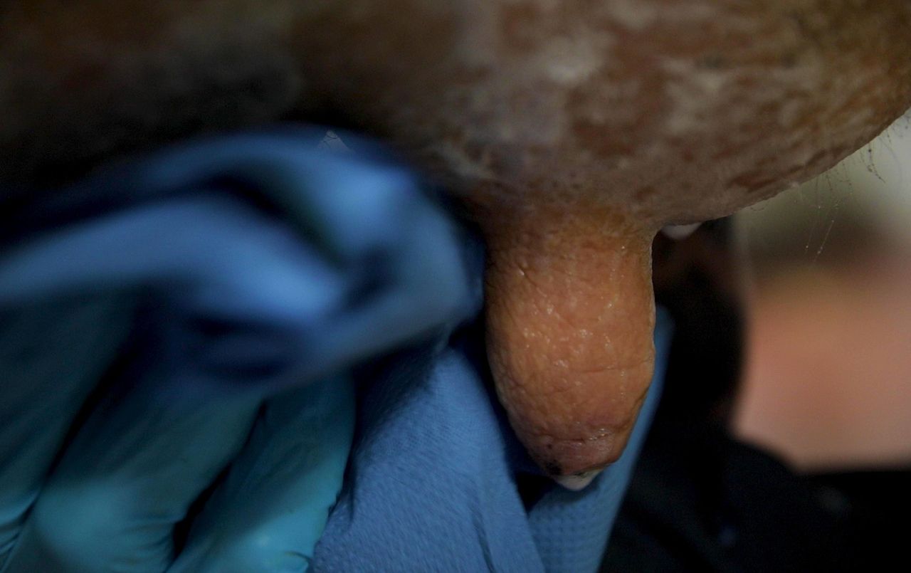 Post-milking teat disinfectant to control mastitis