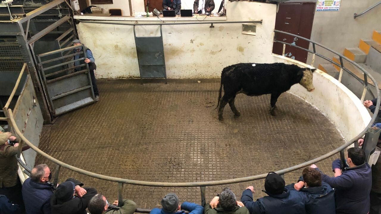 Rules on selling livestock to change at 3 marts in new year