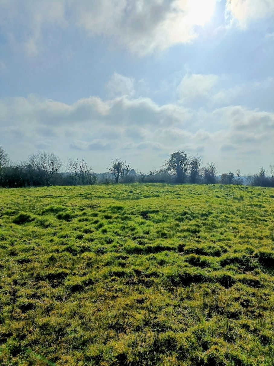 Leitrim farmers showcase ring forts