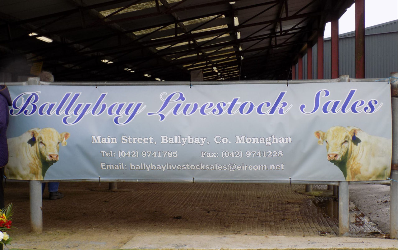 New manager takes the reins at Ballybay Mart