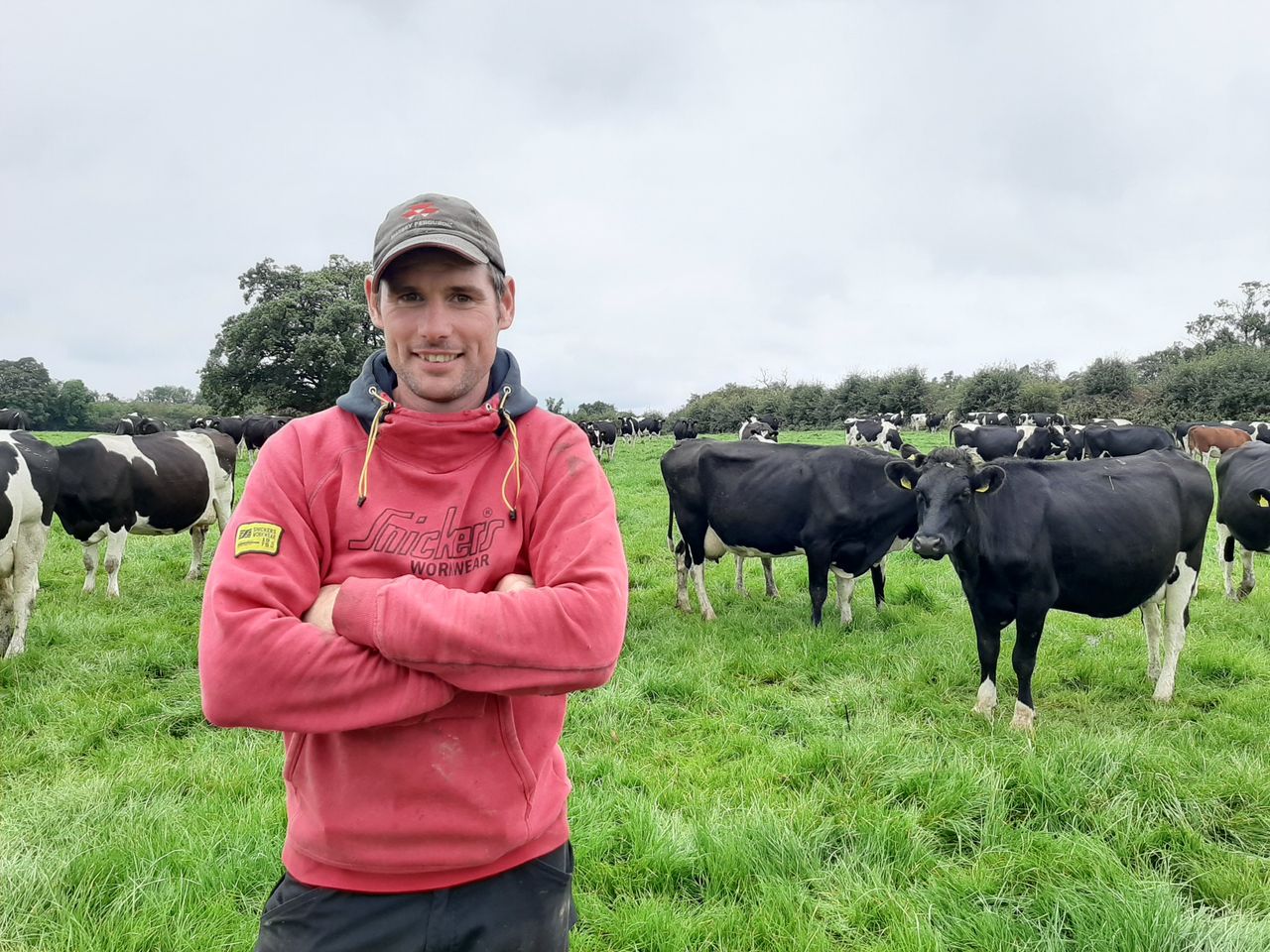Save €581/week by keeping the cows at grass