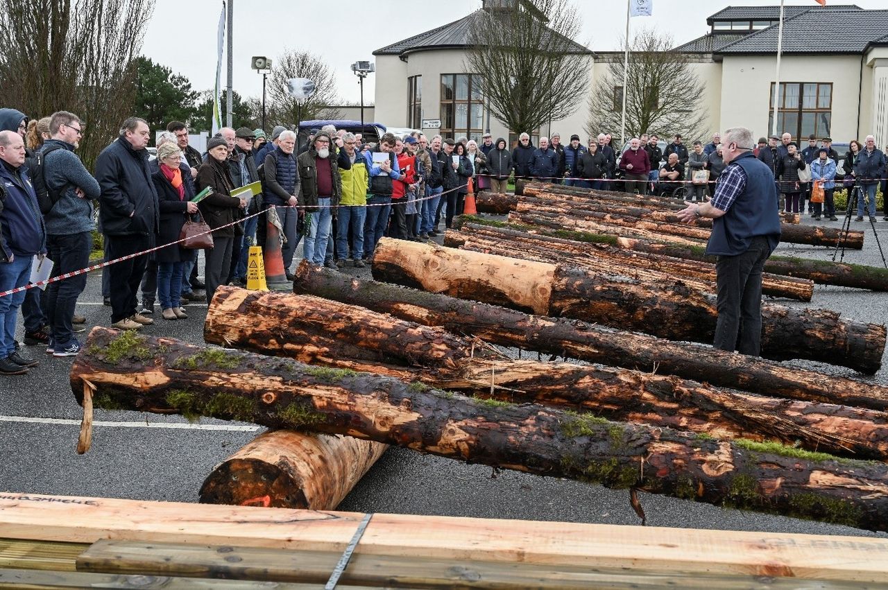 Teagasc to hold post-storm timber harvesting and marketing events