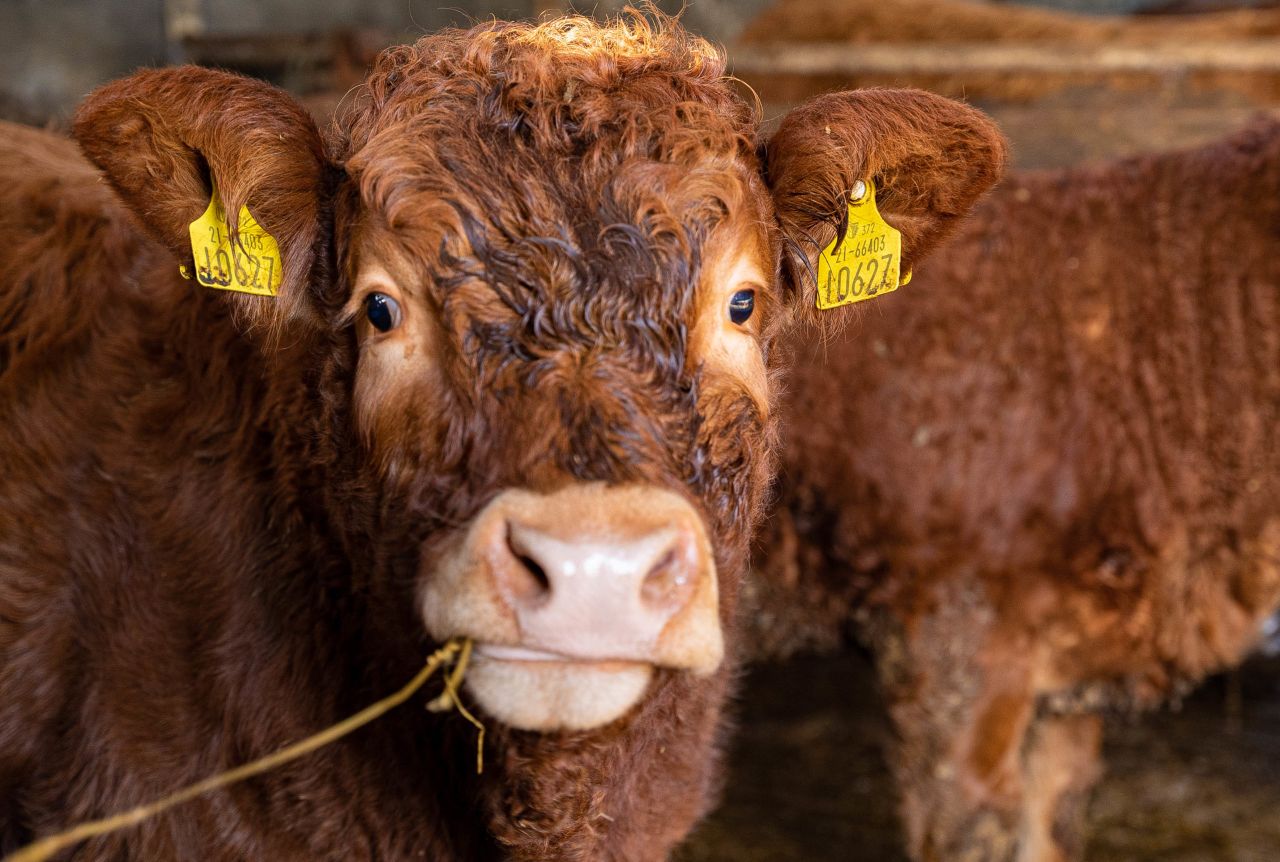 Teagasc Farm Survey: Almost 25% of farms had an income of less than €5,000