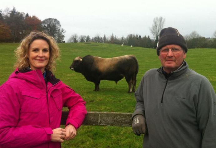 Video: Tonight's Ear to the Ground looks at what's next for the IFA