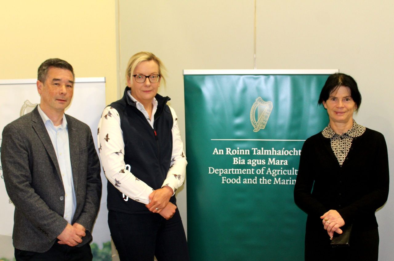Irish potato market valued at €219m over the past year - Bord Bia