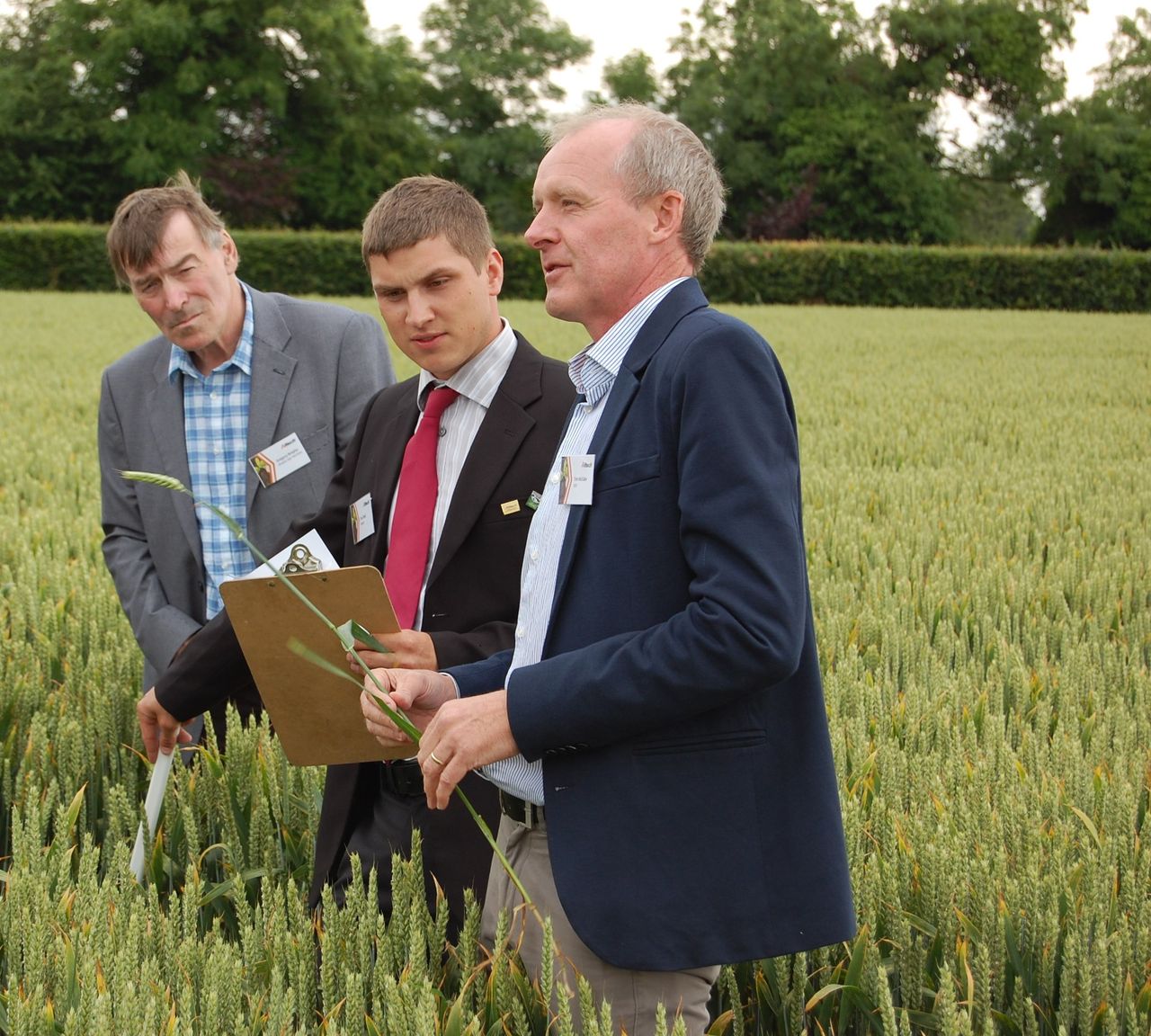 'Tillage farmers must get better at managing risk'