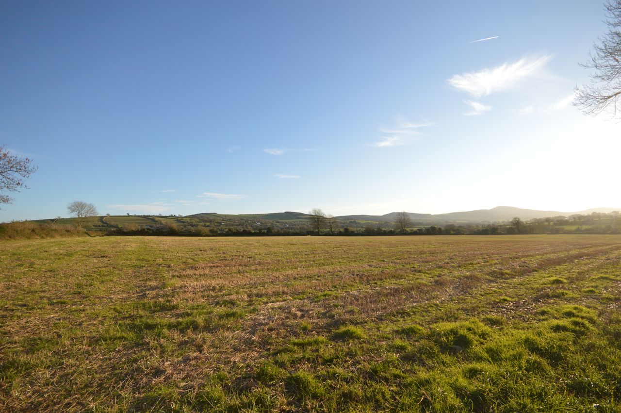 32ac Gorey non-residential farm for sale