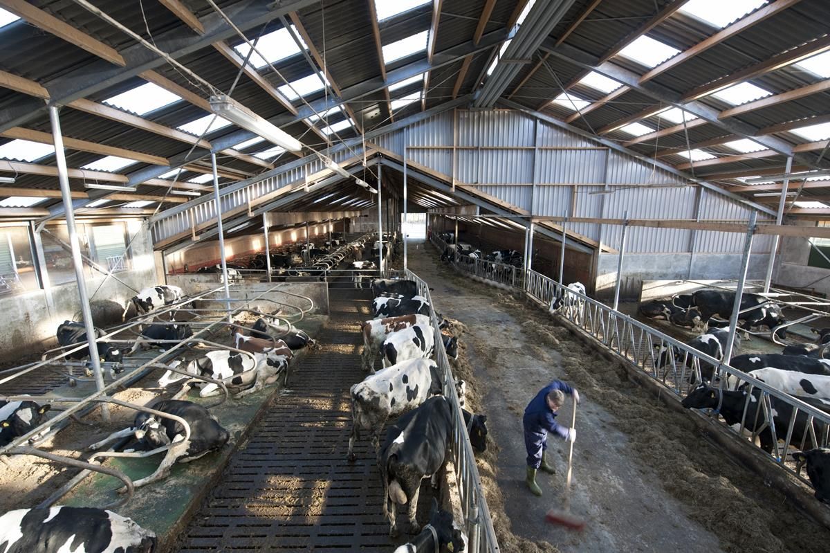 Macra urges young farmers to make farm safety a priority