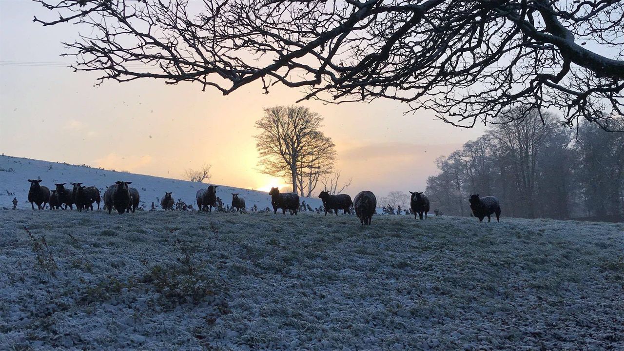 Temperatures to plummet to -10º in some areas