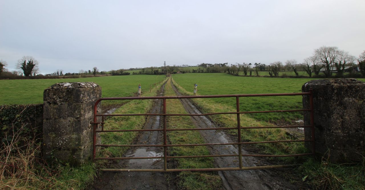 'Vulture fund must engage' following auction removal - IFA