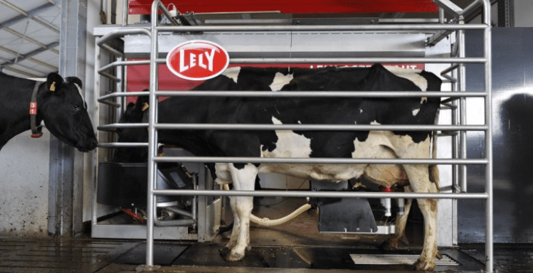Lely to host 2 robotic open days this week