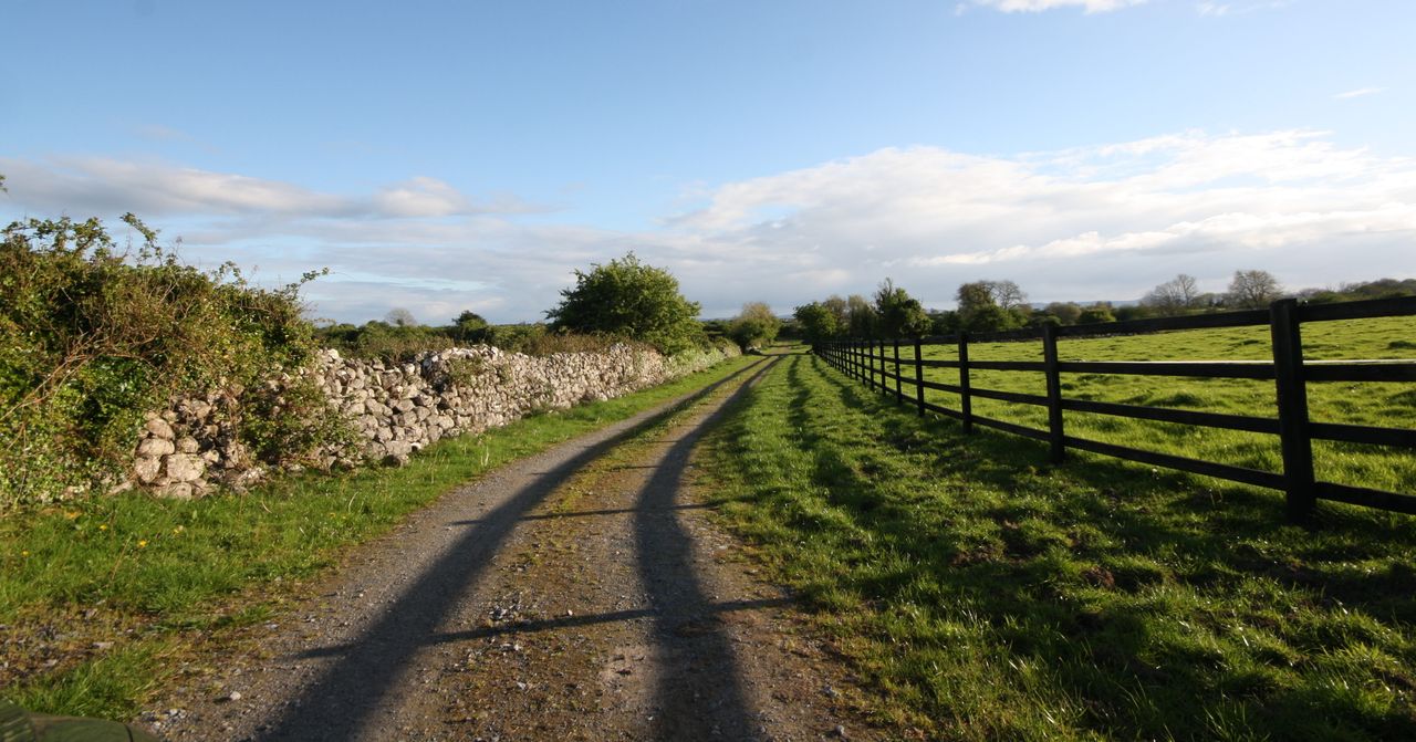 Looking for a stud? Galway has 2 on the market...