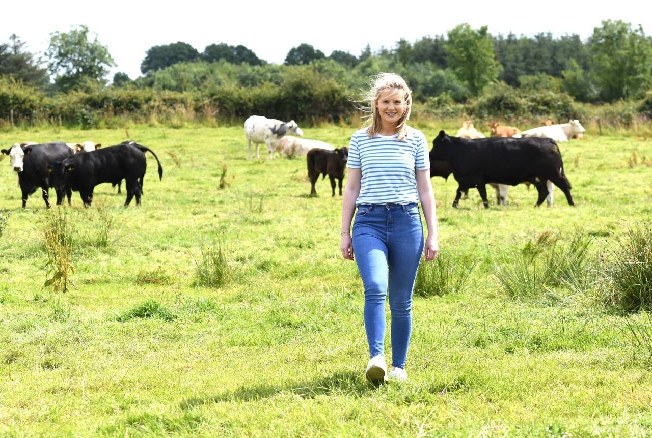 Mart staff who abused calves should be sacked - Kerrane