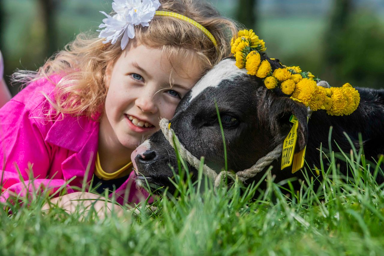 'Ambitious schedule to date' for Cork Summer Show 2019