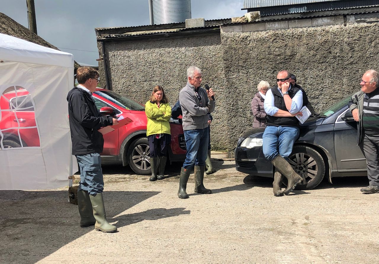 Dairy focus: Farming 'outside of the norm' in Co. Limerick