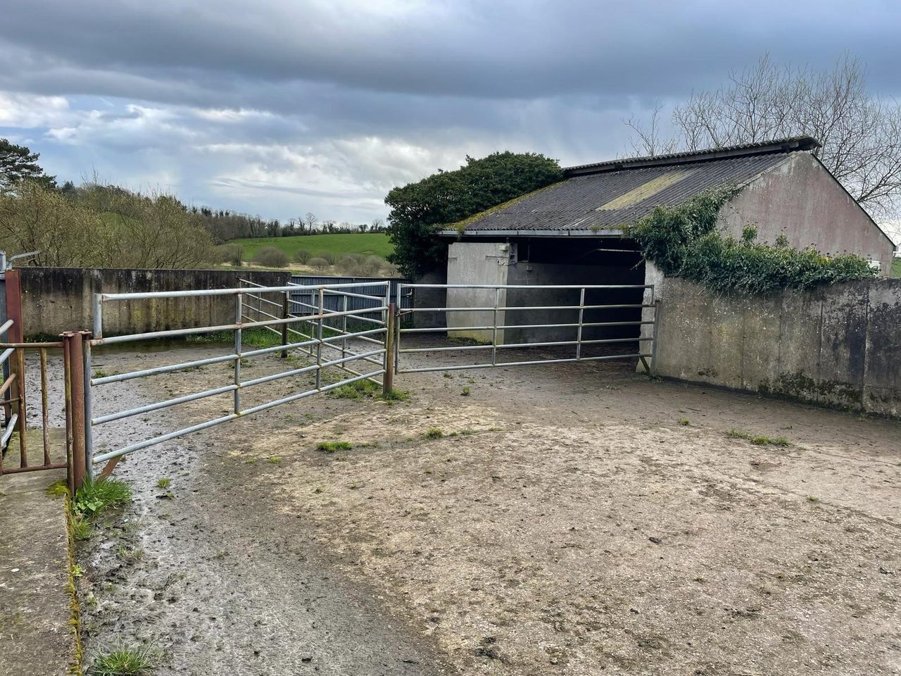 86ac farm sells for €1.15m on Cavan/Monaghan border