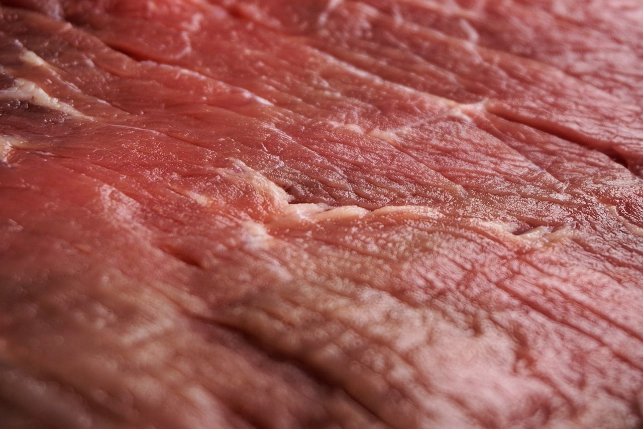 Breakdown of meat and dairy imports from 2019-2023