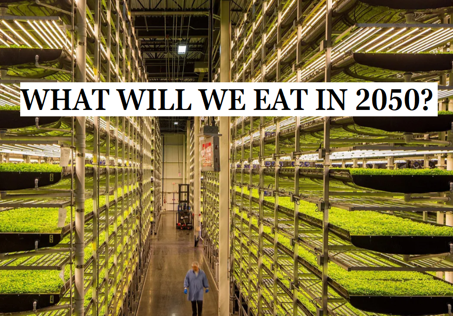 Upcoming film to look at what Ireland will eat in 2050