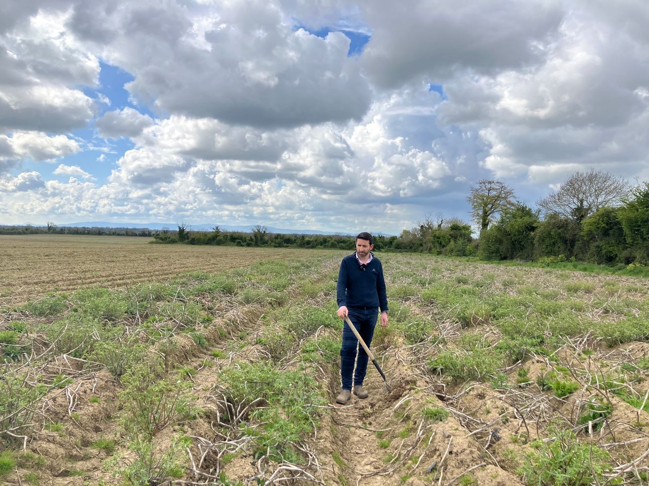 Watch: Impacts of potato shortage to continue into next season
