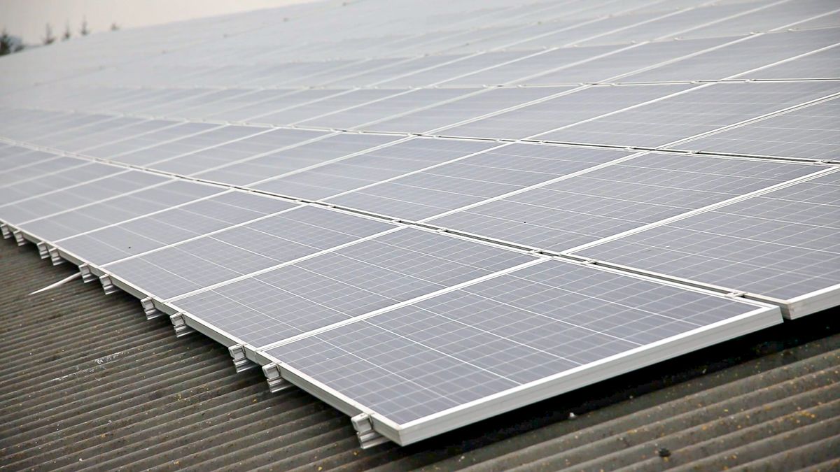 Over €540m allocated to TAMS from 2019 to 2025
