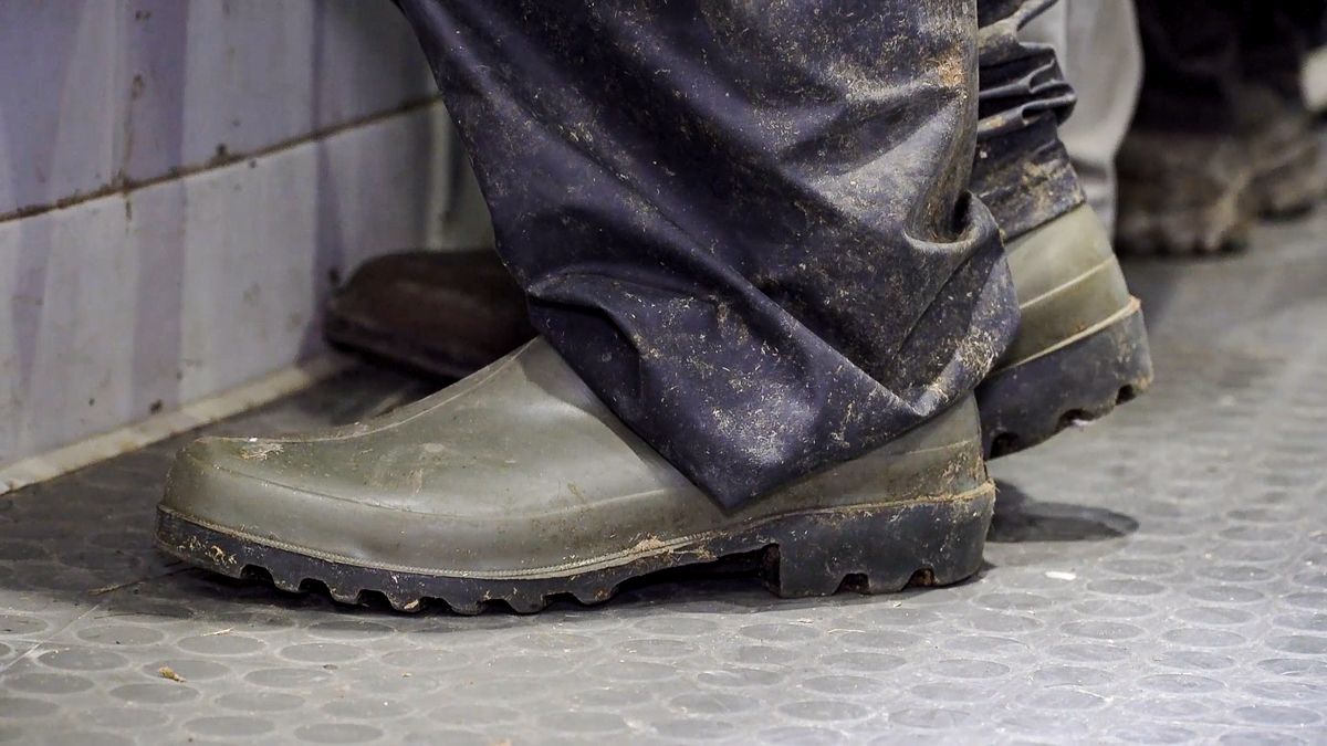 Boot cleaning reduces disease levels on livestock farms