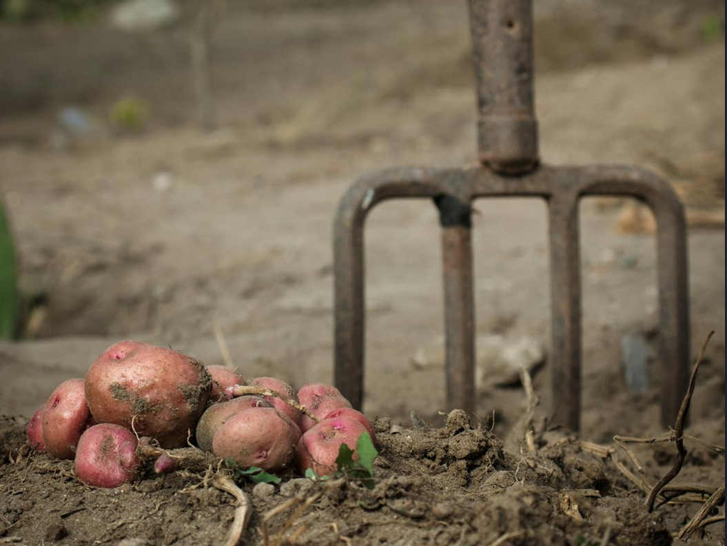 Tillage: Heavy rains bring field work to a halt