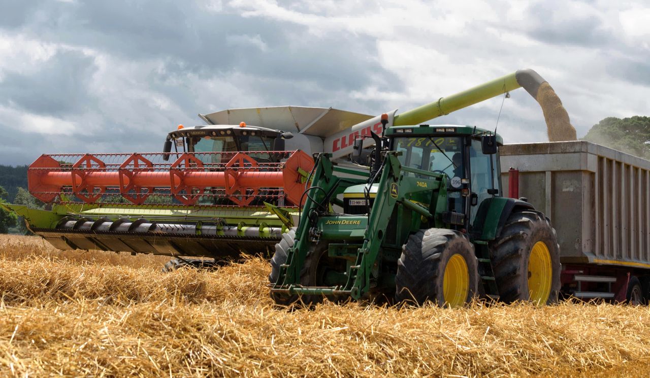 Did you forward sell grain in 2021?