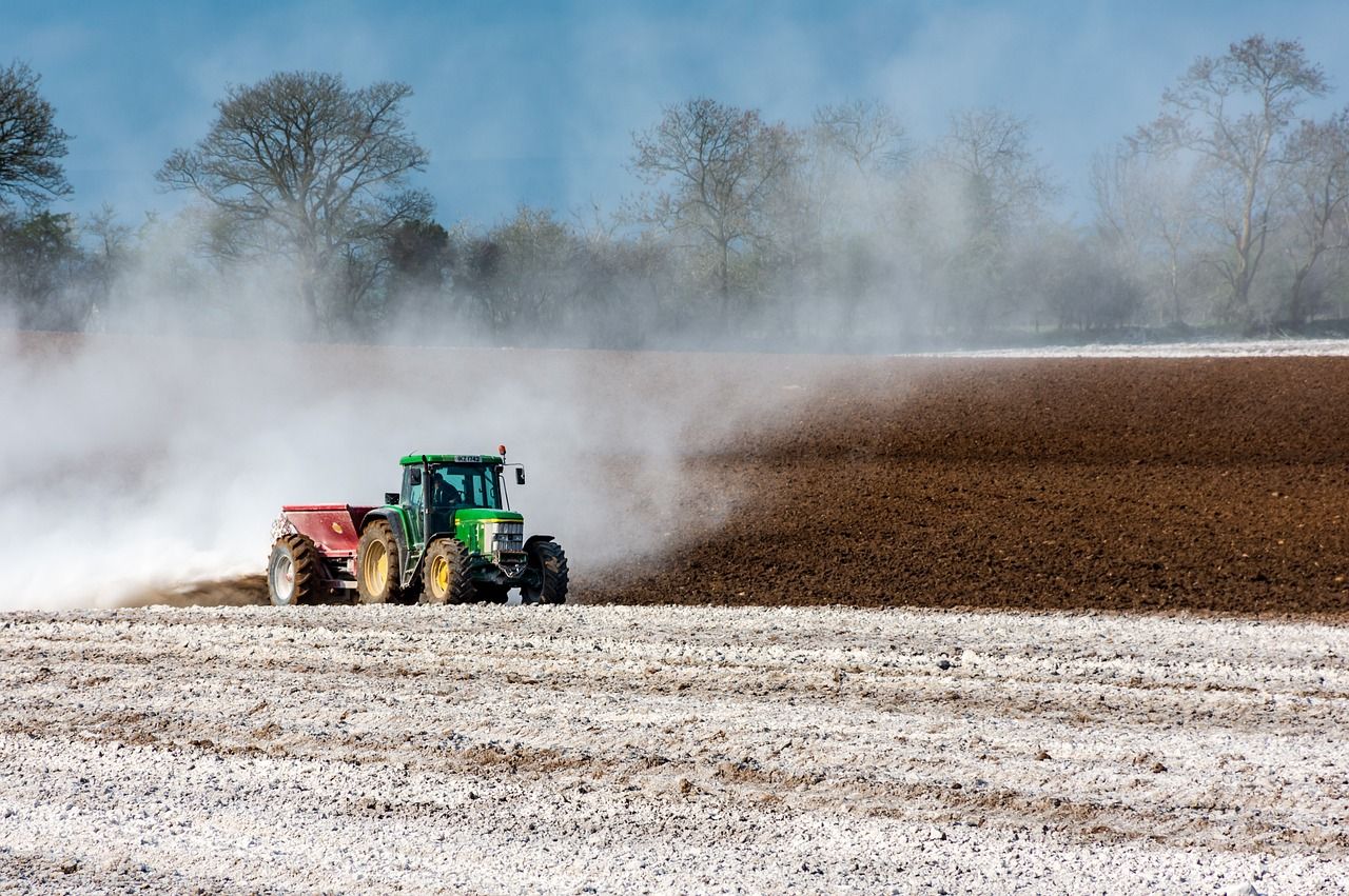 Lime - cheapest and most effective soil conditioner