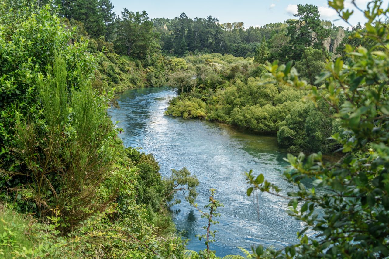 Review claims 'fundamental flaws' in New Zealand water targets