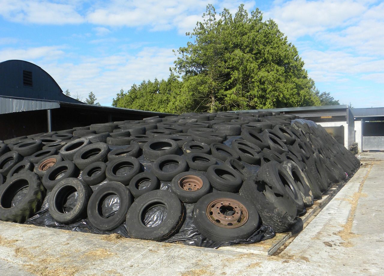 MEP Carthy raises farm inspections burden with Commissioner Ciolos