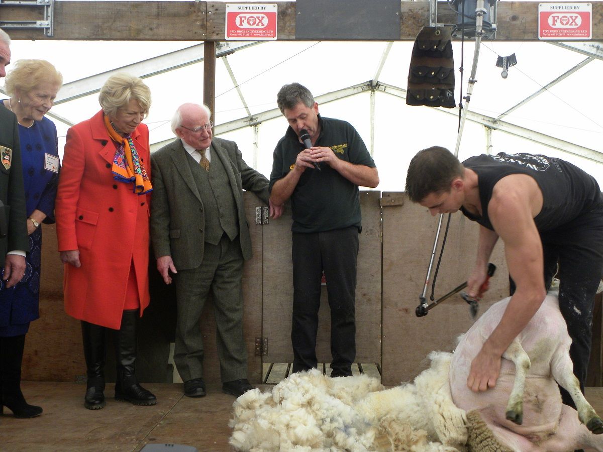 Sheep shearer shortage poses serious threat to wool trade