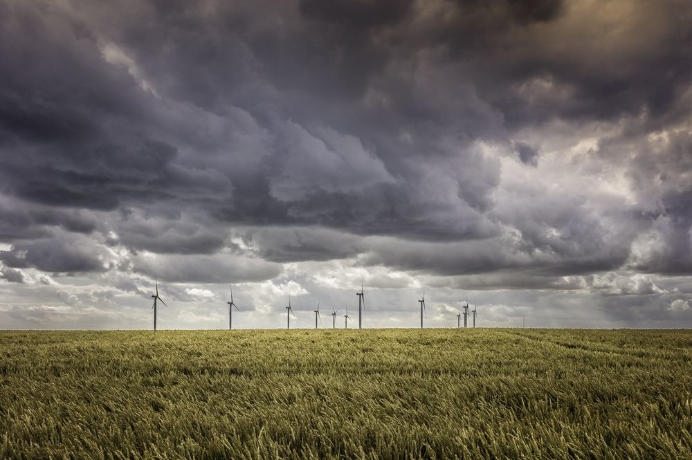 Bruton makes new appointments to sustainable energy board