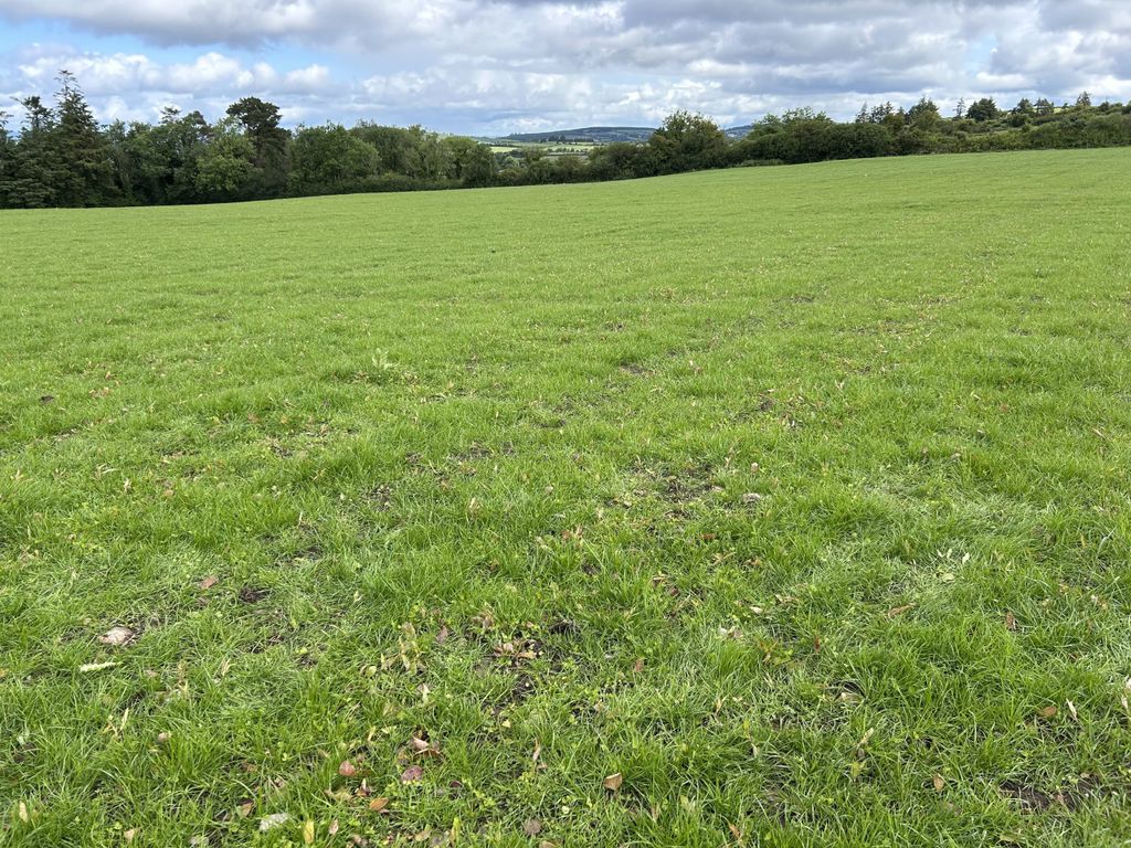 A look at the freshly reseeded paddock