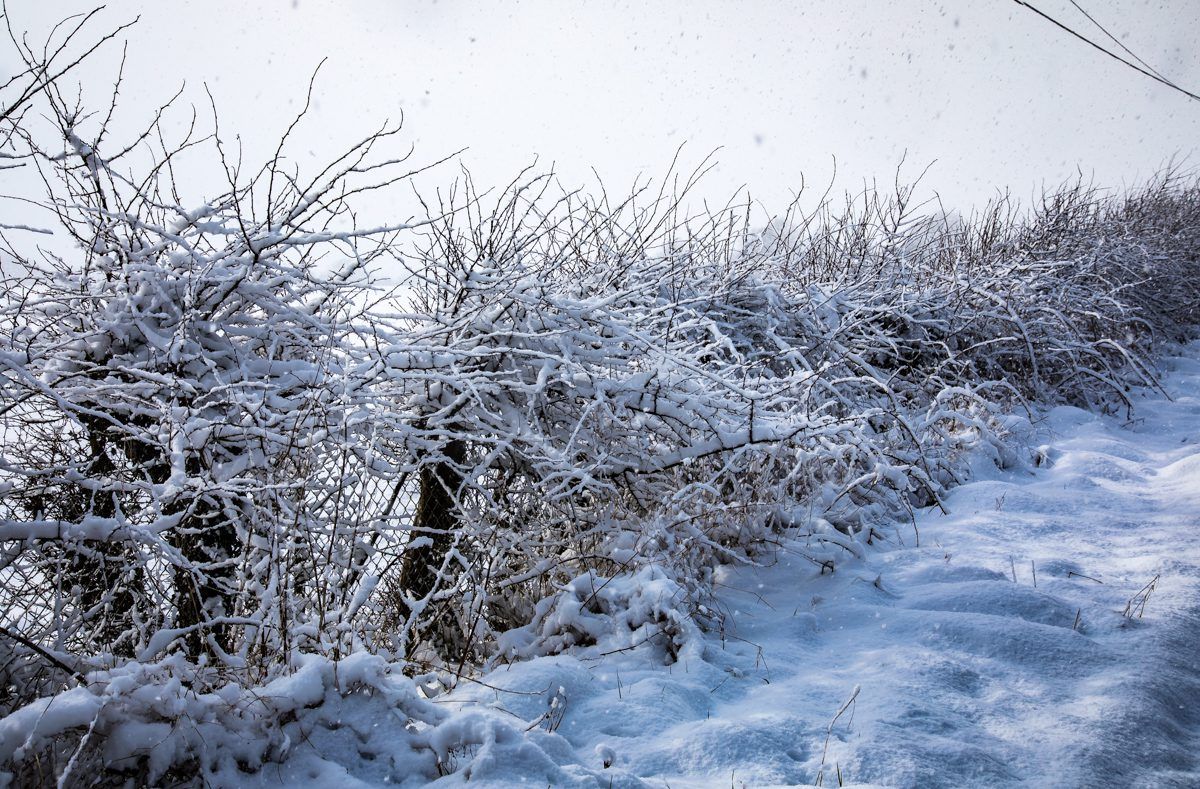 Status Yellow snow/ice warning issued for three counties