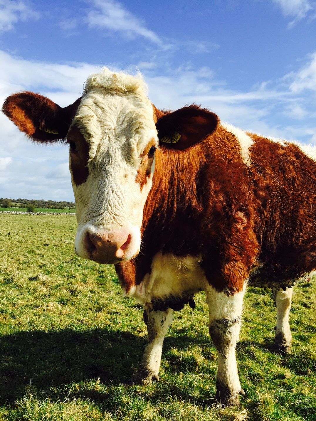 Parts of the country see their sunniest April on record - Met Eireann