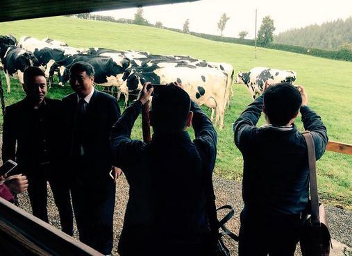 High-level Chinese delegation kicks off visit to Ireland at 120ha Wicklow dairy farm