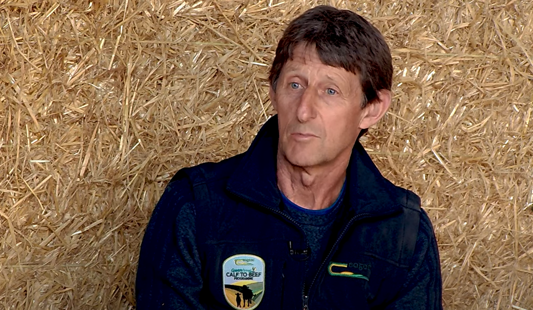 Virtual Farm Walk: Relive all of the action
