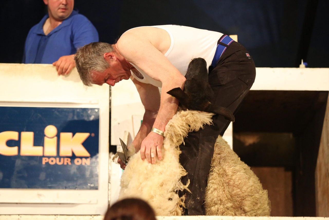 Five countries win World titles at Golden Shears
