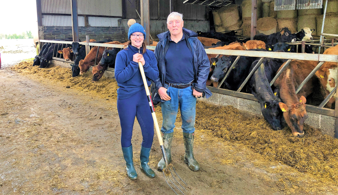 Beef Focus: Family effort on Wicklow suckler/sheep farm