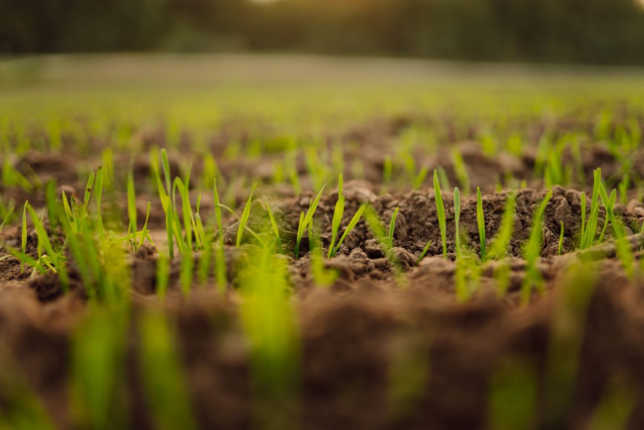 ICOS calls for €40m fertiliser support scheme