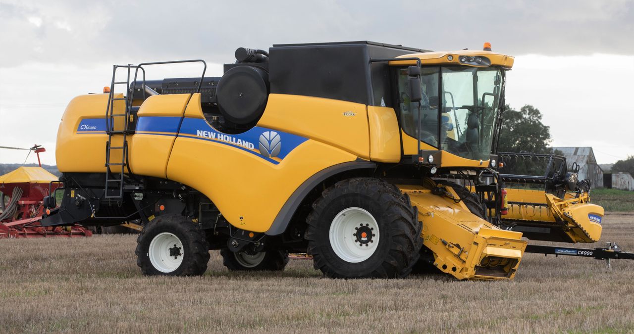 Auction report: A big bargain or a gutsy gamble at this on-farm sale?