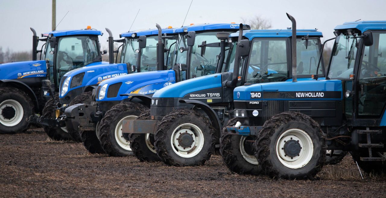 Auction report: 'If she's not blue, she just won't do!'